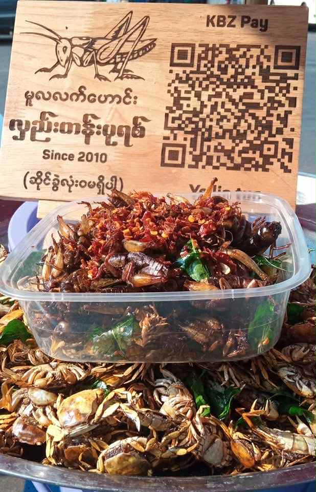 ပုရစ်ကြော်